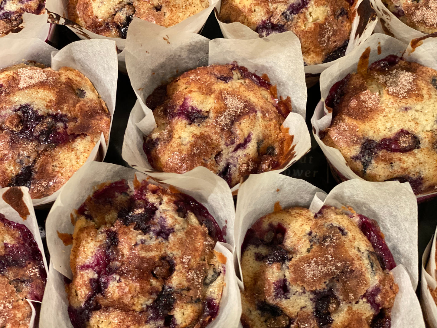 Famous Department Store Blueberry + Cinnamon Muffins